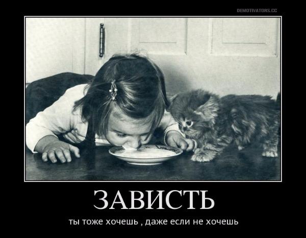 Диагноз: ЗАВИСТЬ