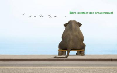Тренинг от Елены Тарариной в вашем городе! Тренинг от Елены Тарариной в вашем городе!
