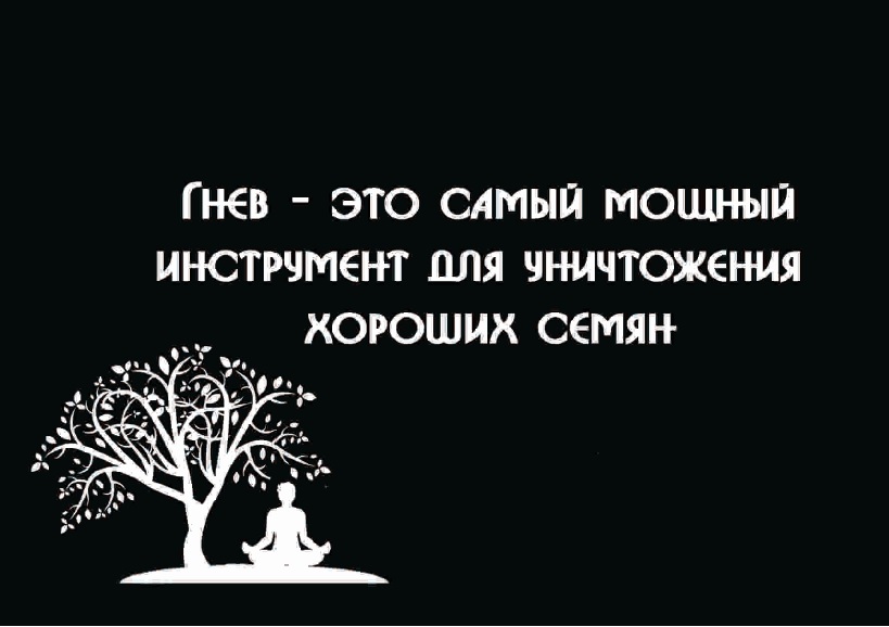 Метафорические ассоциативные изображения «Семена»