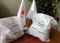 Благотворительная акция ко дню рождения Елены Тарариной